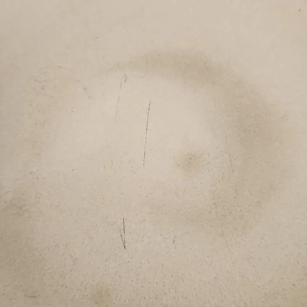 Pier 1 Imports Wave Salad Plate 8 3/8